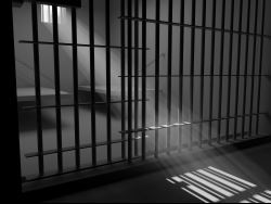 Criminal Defense Lawyer 